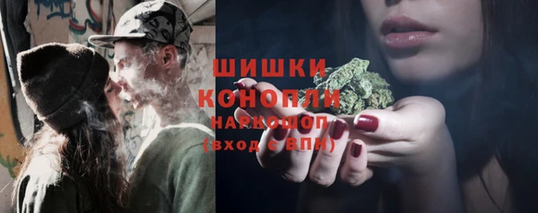 mdpv Богданович