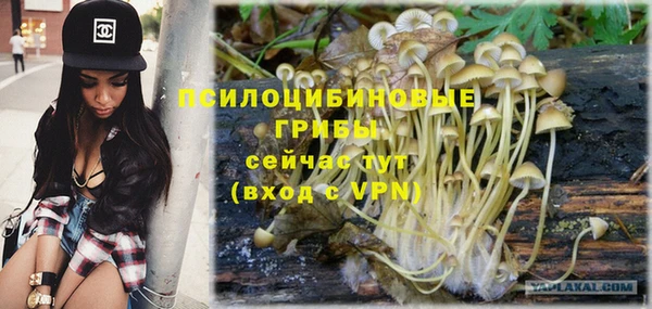 mdpv Богданович