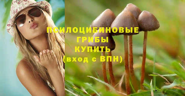 mdpv Богданович