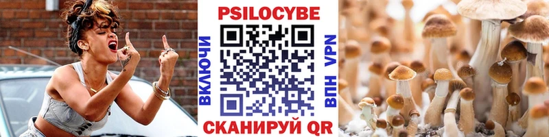 Галлюциногенные грибы Cubensis  Мезень 